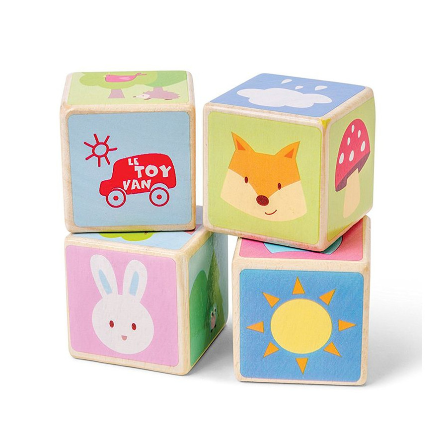 Set de 4 cubes Petilou